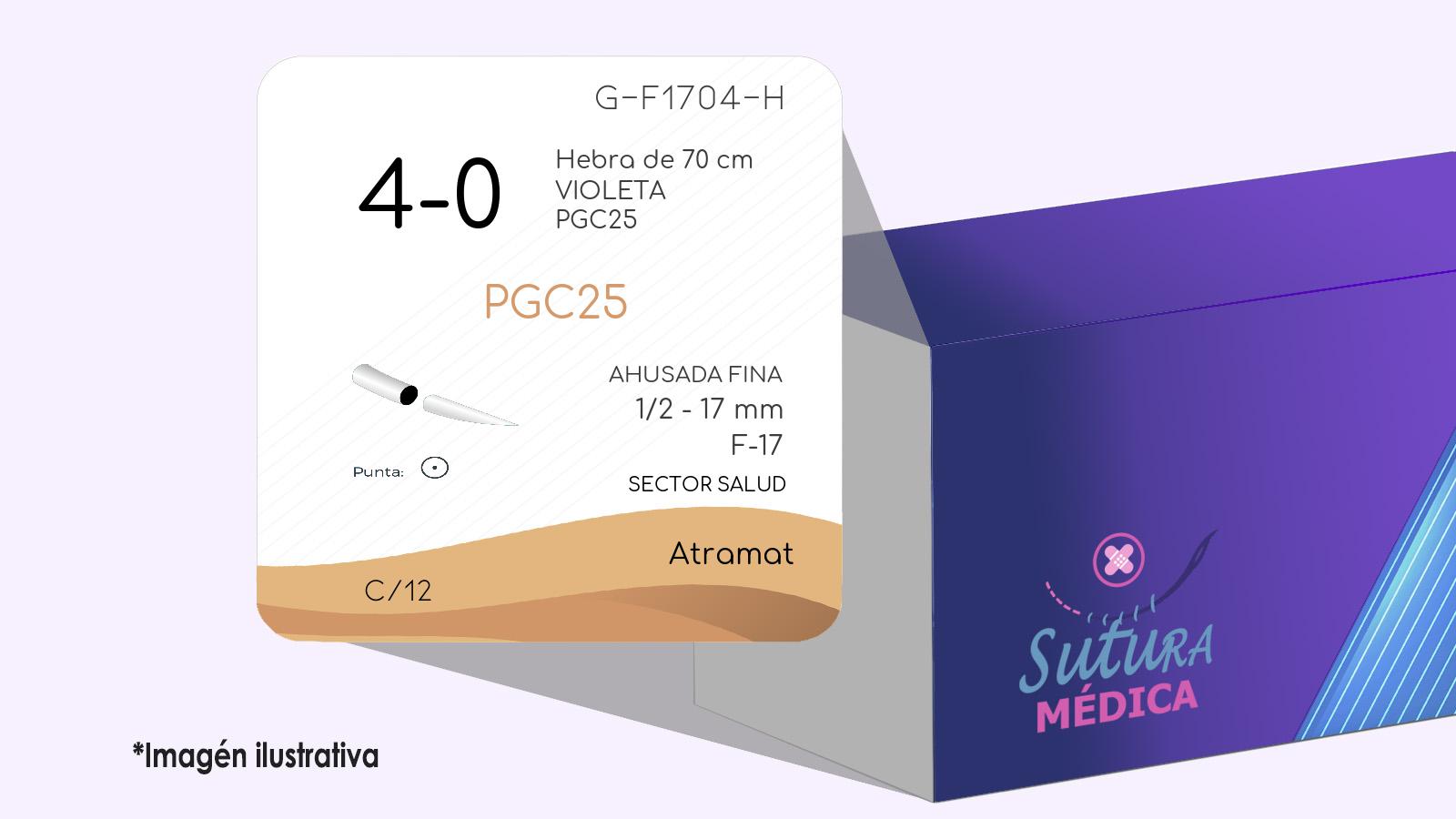 G-F1704-H